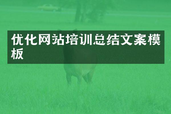 优化网站培训总结文案模板