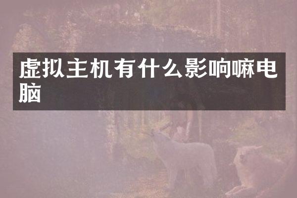 虚拟主机有什么影响嘛电脑