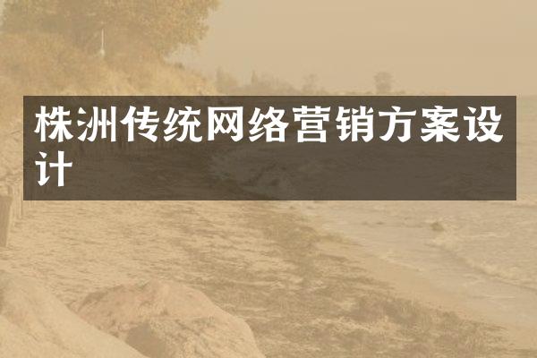 株洲传统网络营销方案设计