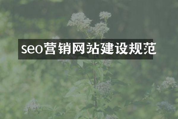 seo营销网站建设规范