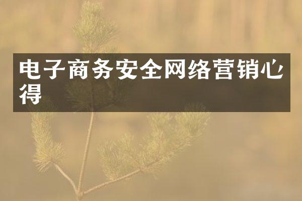 电子商务安全网络营销心得