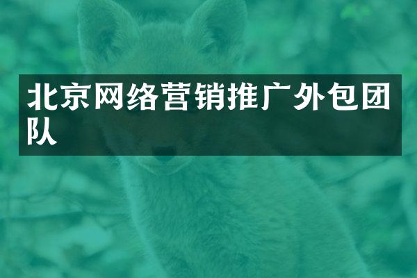 北京网络营销推广外包团队