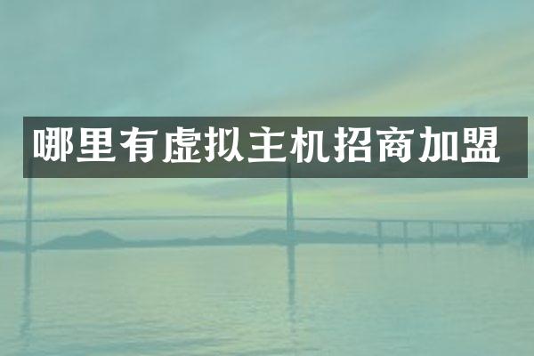 哪里有虚拟主机招商加盟