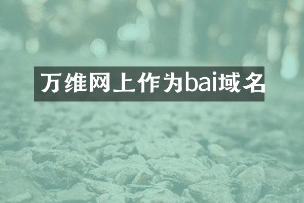 万维网上作为bai域名