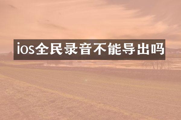 ios全民录音不能导出吗