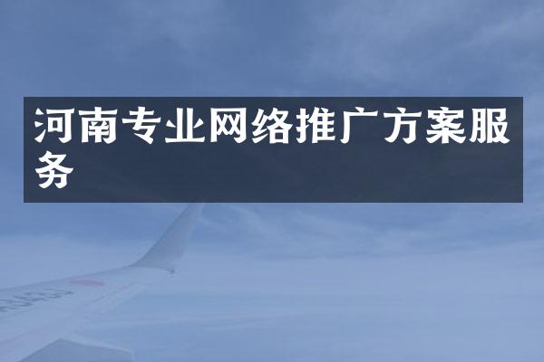 河南专业网络推广方案服务