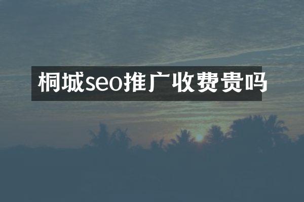 桐城seo推广收费贵吗