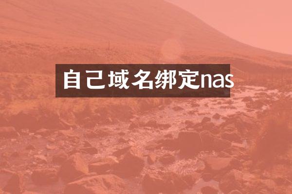 自己域名绑定nas