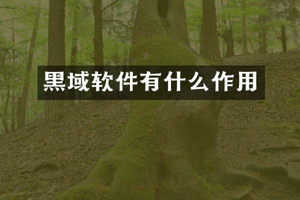 黑域软件有什么作用