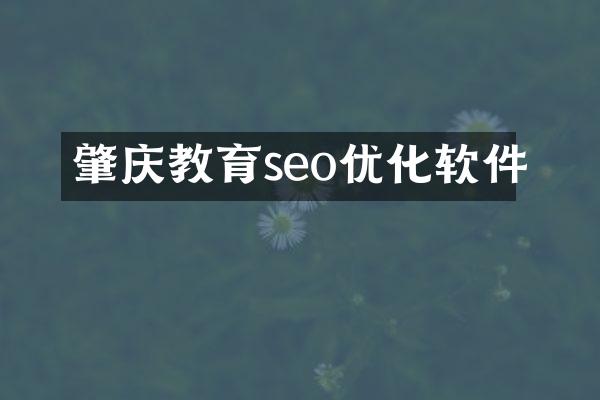 肇庆教育seo优化软件