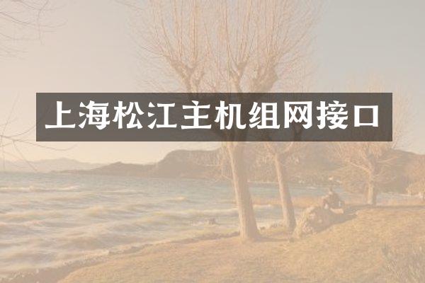 上海松江主机组网接口