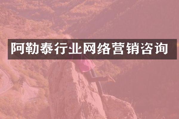 阿勒泰行业网络营销咨询