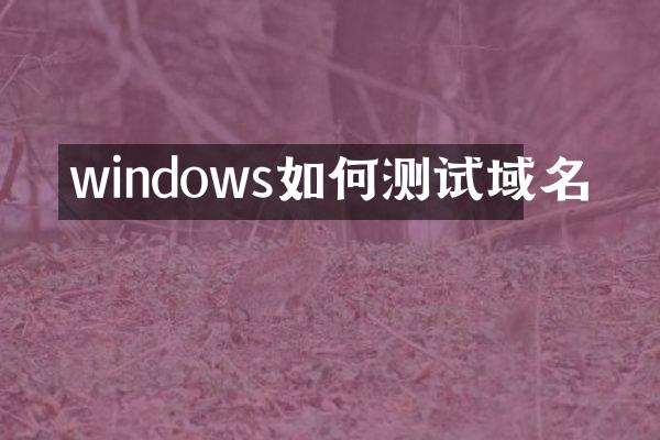 windows如何测试域名