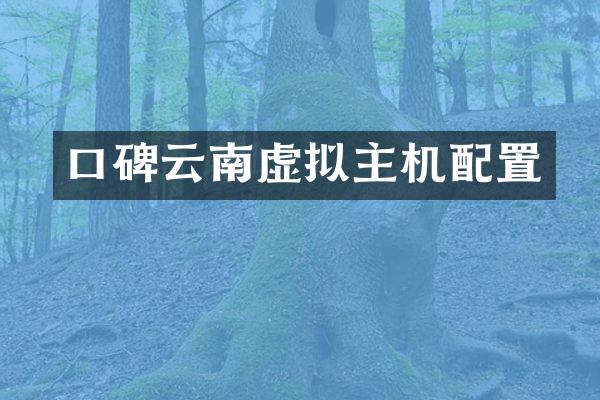 口碑云南虚拟主机配置