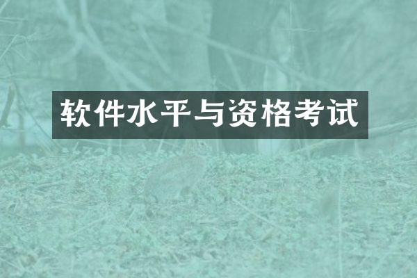 软件水平与资格考试