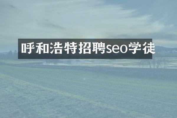 呼和浩特招聘seo学徒