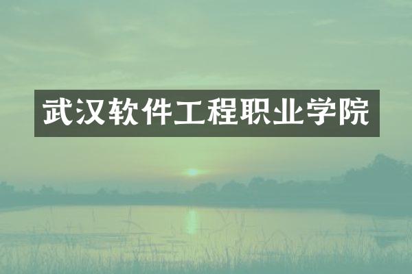 武汉软件工程职业学院