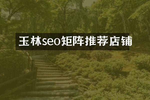 玉林seo矩阵推荐店铺