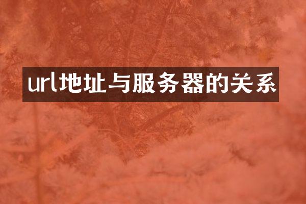 url地址与服务器的关系