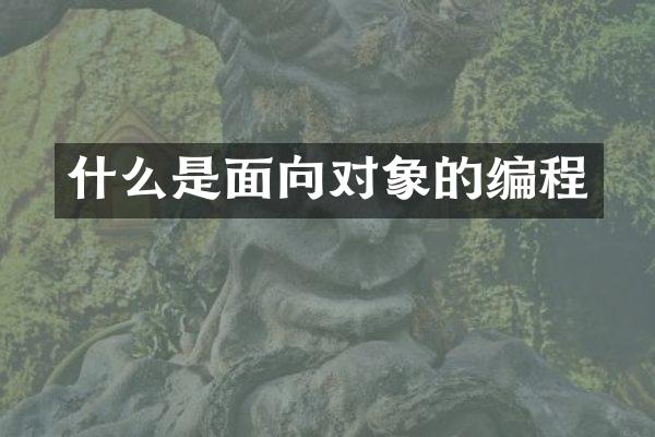 什么是面向对象的编程