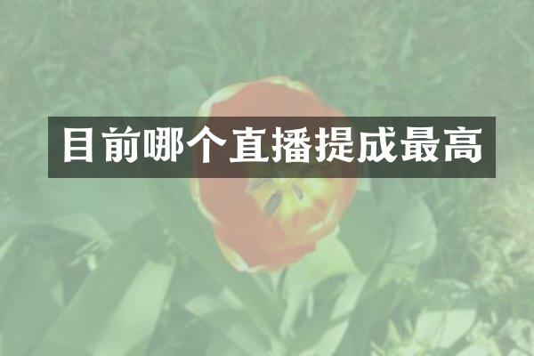 目前哪个直播提成最高