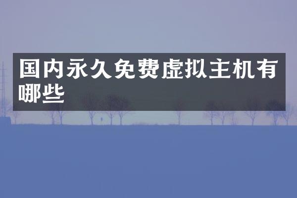 国内永久免费虚拟主机有哪些