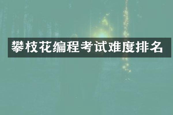 攀枝花编程考试难度排名