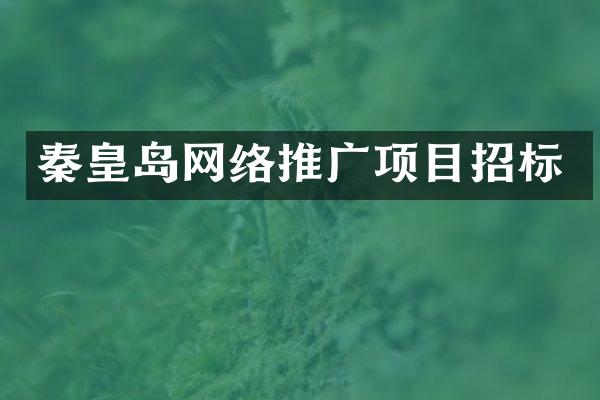 秦皇岛网络推广项目招标