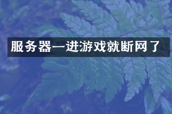 服务器一进游戏就断网了