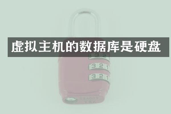 虚拟主机的数据库是硬盘