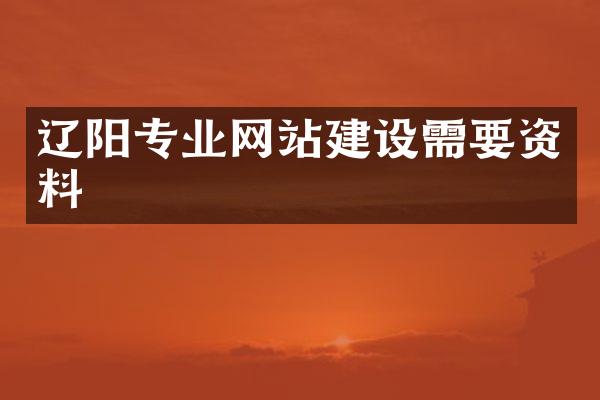 辽阳专业网站建设需要资料
