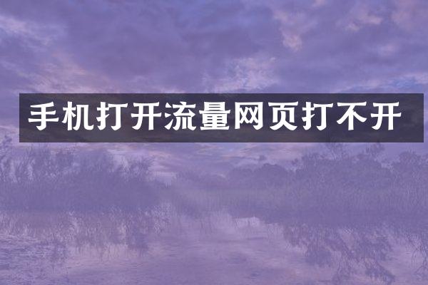 手机打开流量网页打不开