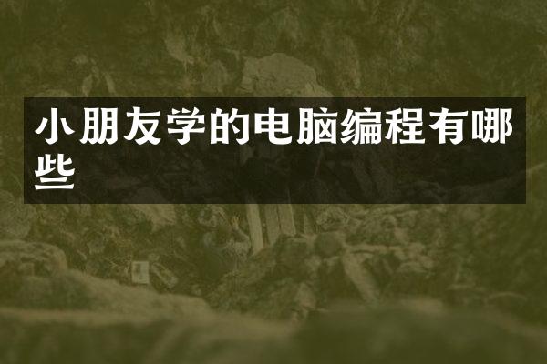 小朋友学的电脑编程有哪些