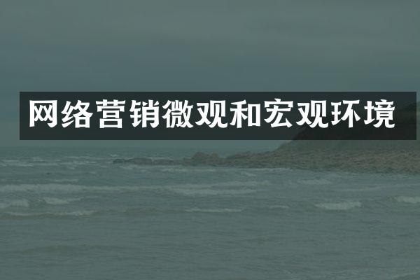 网络营销微观和宏观环境