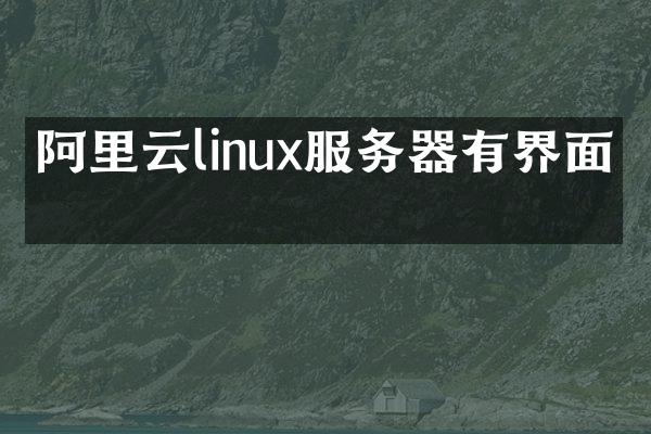 阿里云linux服务器有界面吗