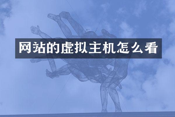 网站的虚拟主机怎么看