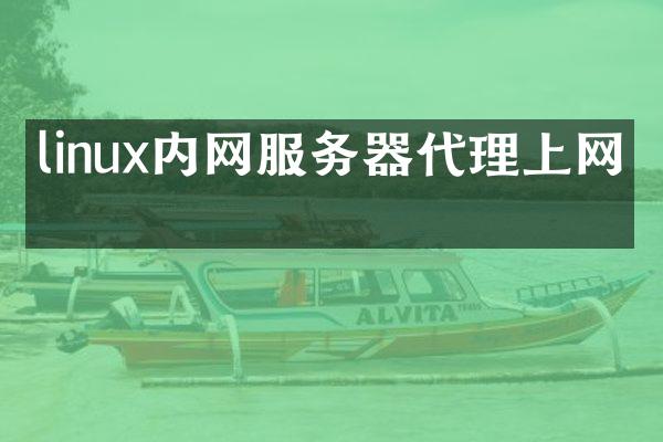 linux内网服务器代理上网吗