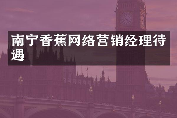 南宁香蕉网络营销经理待遇