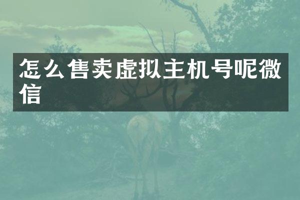 怎么售卖虚拟主机号呢微信