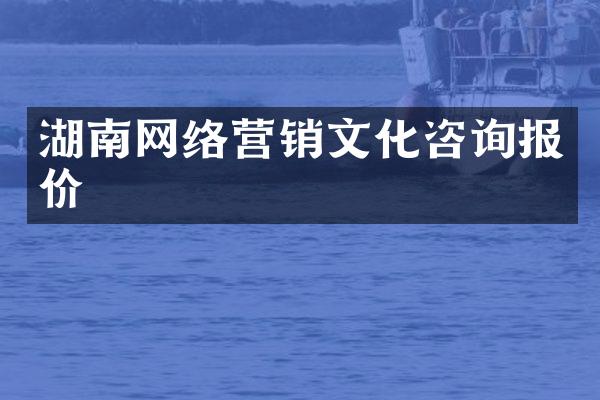 湖南网络营销文化咨询报价