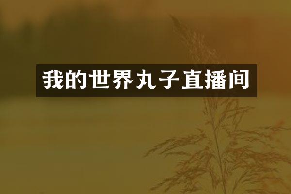 我的世界丸子直播间