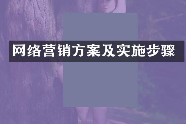 网络营销方案及实施步骤