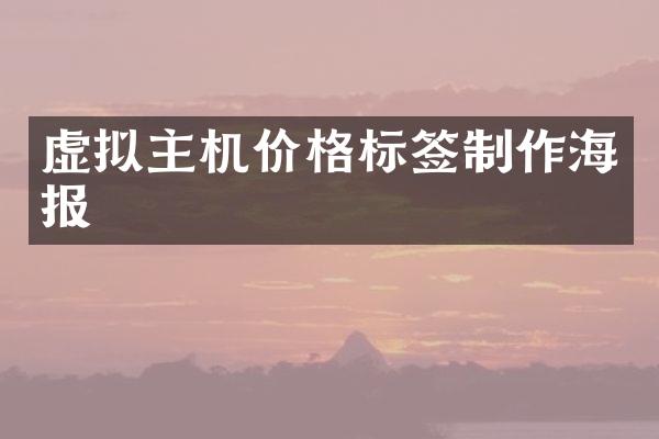 虚拟主机价格标签制作海报
