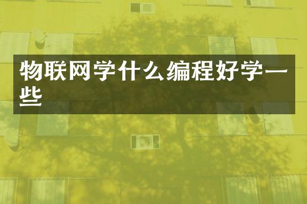 物联网学什么编程好学一些