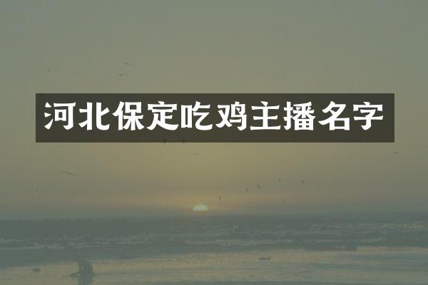 河北保定吃鸡主播名字