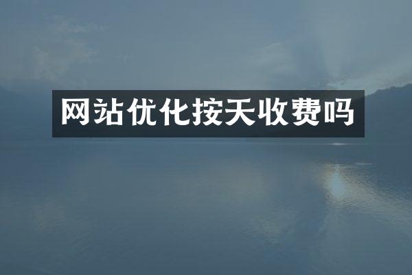 网站优化按天收费吗