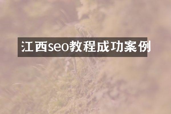 江西seo教程成功案例