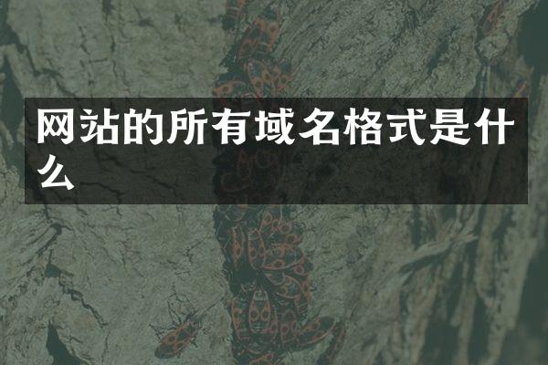 网站的所有域名格式是什么