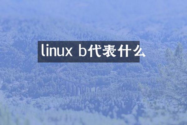 linux b代表什么