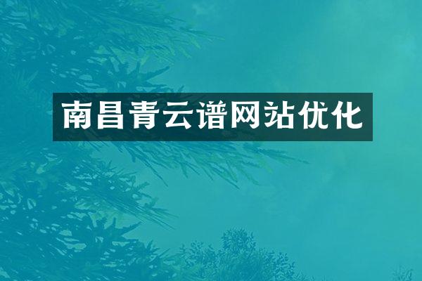 南昌青云谱网站优化